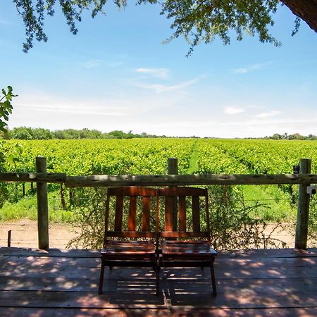 Upington African Vineyard Boutique Hotel & Spa Keimoes Kültér fotó