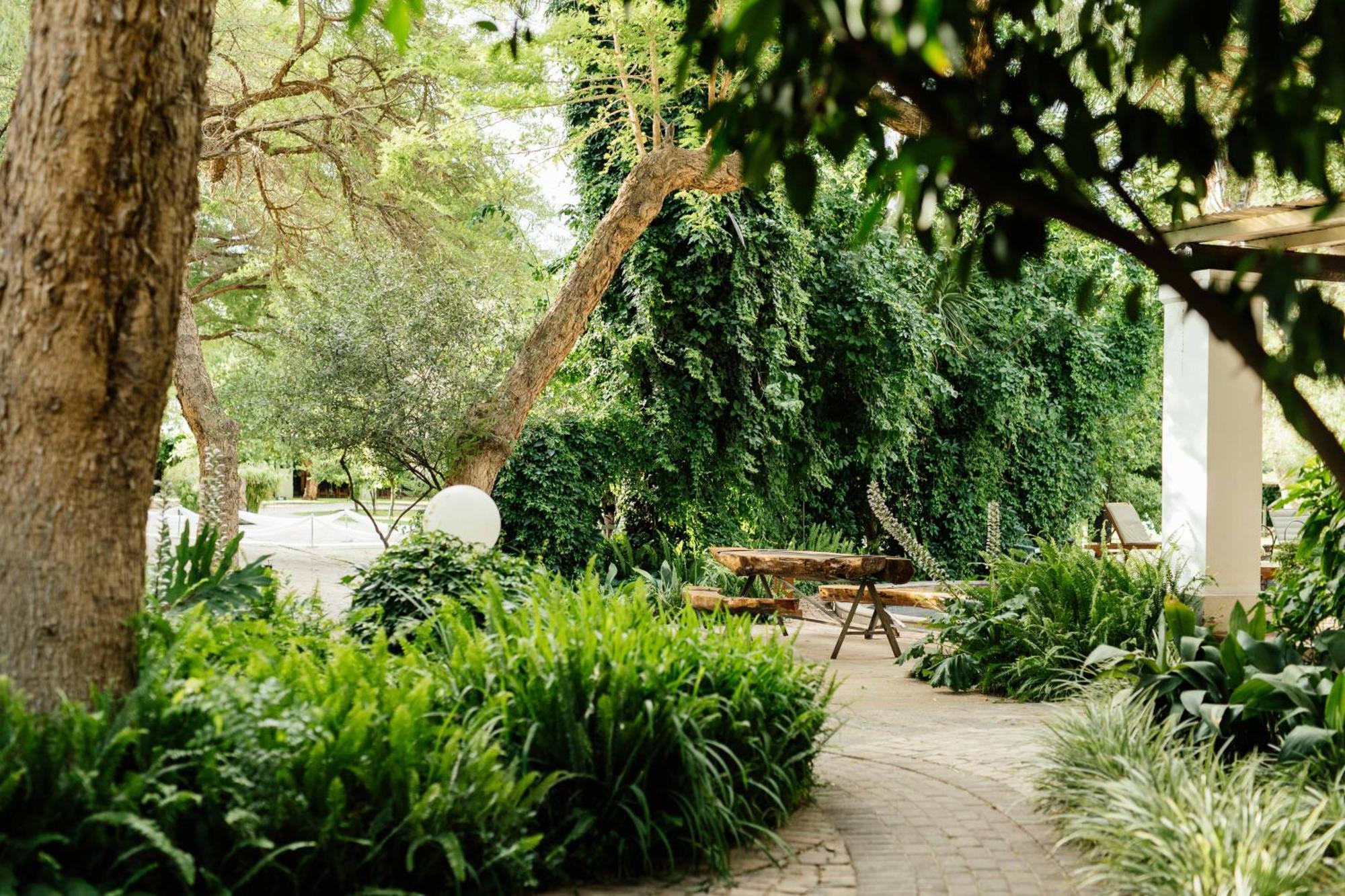Upington African Vineyard Boutique Hotel & Spa Keimoes Kültér fotó